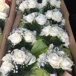 All white bridesmaids bouquets