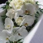 Phalenopsis and Akito Rose, Shower Wedding Bouquet
